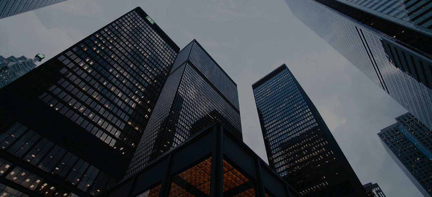 面向当局和金融行业用户提供整体信息化解决规划和集成服务